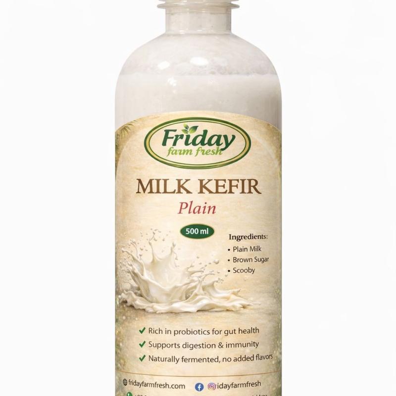 Milk Kefir – Plain